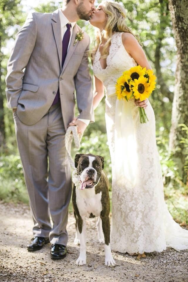 bridal portait with pets